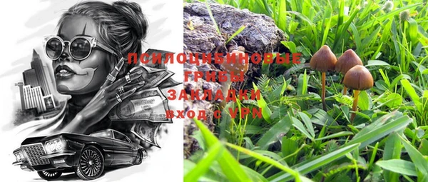прущие крисы Абдулино