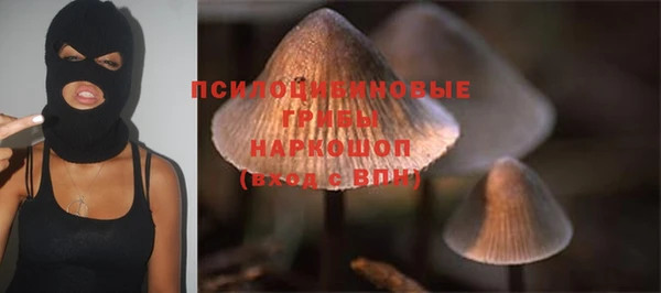 прущие крисы Абдулино