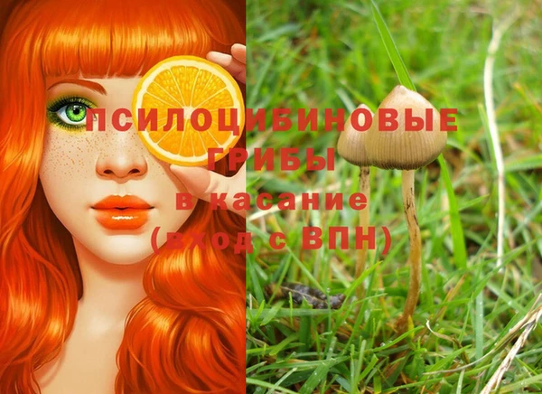 каннабис Абинск