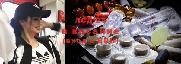 твердый Дубовка