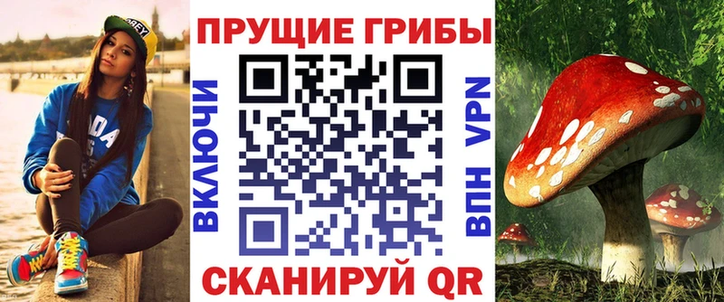 как найти наркотики Каменка mega ССЫЛКА Галлюциногенные грибы Psilocybe